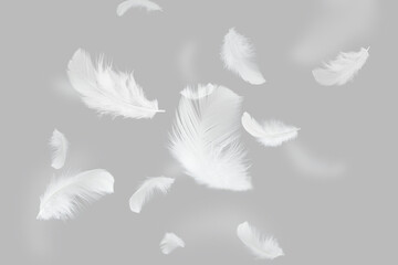Group of Lightly White Feathers Floating on Gray Background.