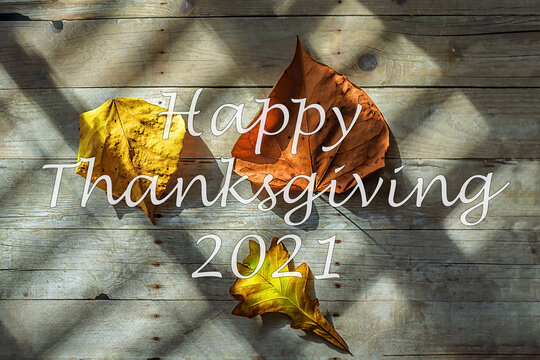 Text of Happy Thanksgiving on a fall background - Powered by Adobe
