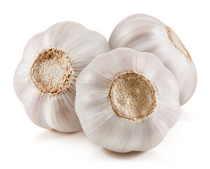 Garlic isolated on white background
