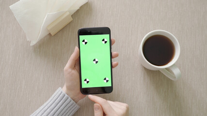 Young Girl is Holding Smartphone with Green Screen at Evening Time.