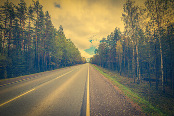 Fototapeta premium Autumn rural road running through a forest. Close up view from the side of the road