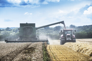harvesting  with a tractor and combine harvester