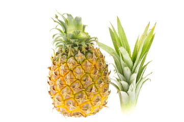 Pineapple on white background