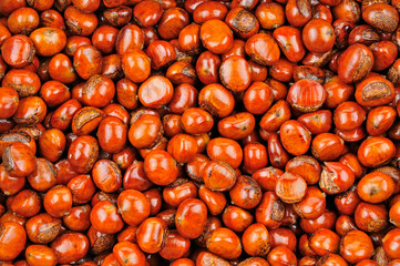 Fresh chestnuts