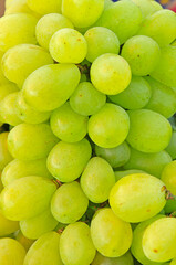 Fresh grapes