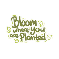 bloom where you are planted quote text typography design graphic vector illustration