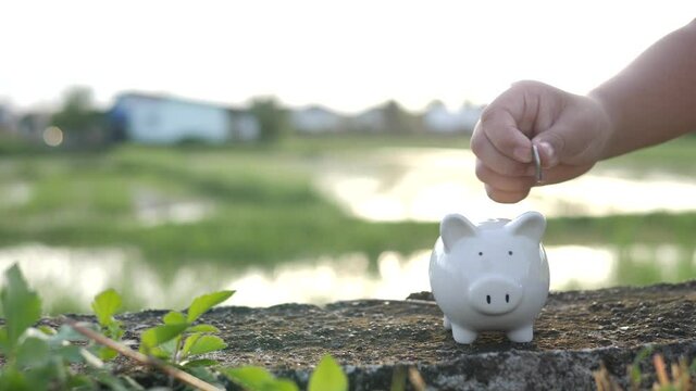 Saving and pig piggy bank a coin glass on the floor nature background
