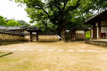 Fototapeta na wymiar korean garden
