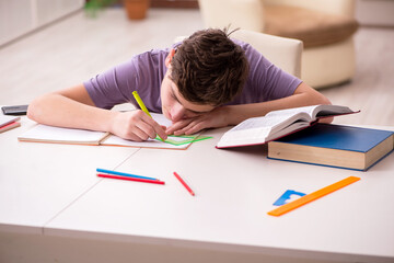 Obraz na płótnie Canvas Schoolboy preparing for exams at home