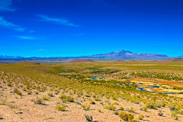Paysage avec Lamas, rivière et ciel bleu coloré cordillère des Andes Bolivie pays de contraste.