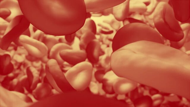Rote Blutkörperchen oder Rote Blutplättchen in Blutkreislauf in Ader
