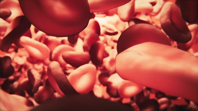 Rote Blutplättchen oder rote Blutkörperchen Animation