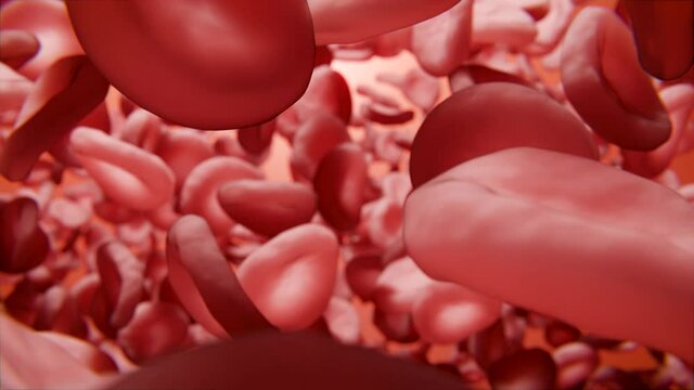 rote Blutkörperchen oder rote Blutplättchen - medizinische Animation