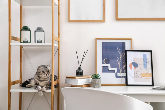Modern workplace and cute cat on shelf near light wall