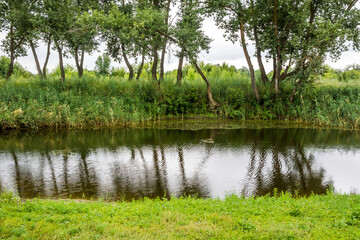 Green banks of a narrow river