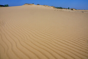 Fototapeta na wymiar The textured surface of the sandy desert