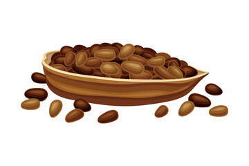 Dried Pod of Theobroma Cacao as Aromatic Chocolate Ingredient Vector Illustration