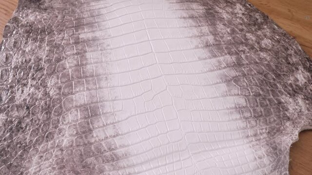 Animal Texture. Exotic Leather. Natural pattern. Fashion and clothing Industry. Upholstery Furniture.
