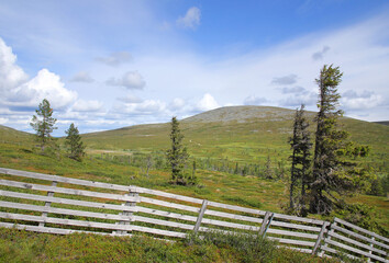 Fototapeta na wymiar Lapland summer fell landscape