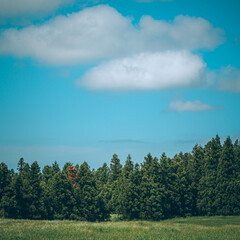 Jeju Island mountain scenery