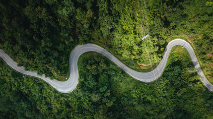 mountain road and green trees from above