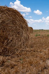 Hay bales in the field on a cloudy day. 