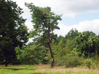 Kinding-Greding 2021