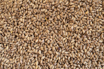 top view pistachios background, close up