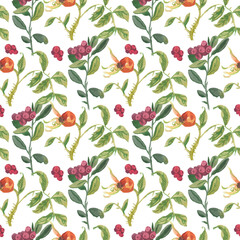 Lingonberry watercolor seamless pattern on white background.Bright fall,Christmas minimalist prints with cranberries.Designs for wrapping paper,scrapbook paper,packaging,social media,textiles,fabric.