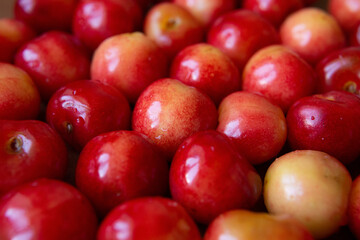 red cherry with water droplets. background. texture. summer.