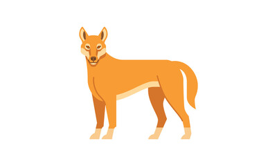 Australian native animal Dingo (Canis lupus dingo) side angle view, flat style vector illustration isolated on white background