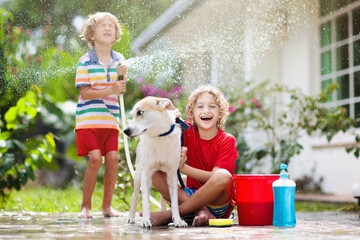 Kids wash dog in summer garden. Water hose fun.