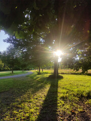 Obraz premium Lichtblick