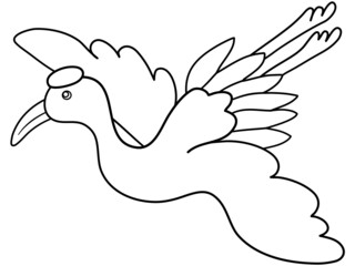 bird vector comic catoon , on white background, animal catoon vecto, hand write and drawing, Coloring exercises for children concept, child meditation concept