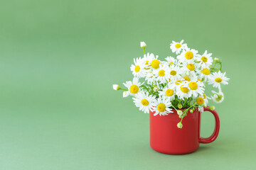 Bouquet of daisies in a red cup on the green surface