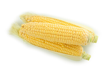 Fresh raw corn isolated on white background