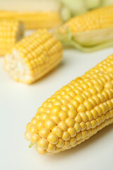 Fresh raw corn on white background, close up