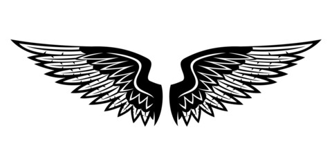 Illustration with black wings on white background.
