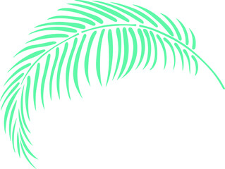 Leaf isolated on white. Tropical leaf. Hand drawn vector illustration