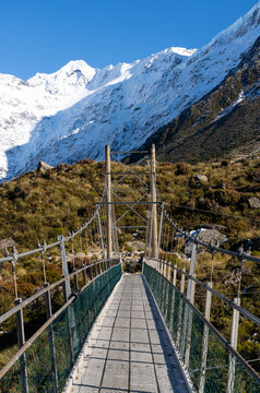 New Zealand Nature