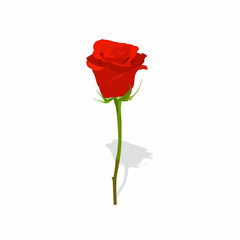 Red rose vector graphics