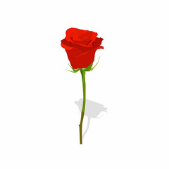 Obraz premium Red rose vector graphics