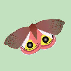 A vector illustration of an io moth. It is a male specimen. The background is pale green.