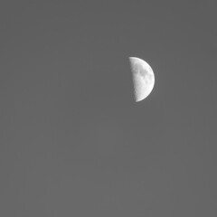Picture of a Half Moon