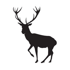 Deer silhouette. Vector illustration isolated on white background, EPS 10