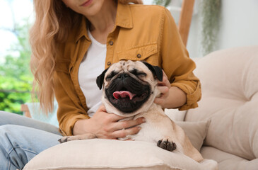 Woman with cute pug dog at home, closeup. Animal adoption