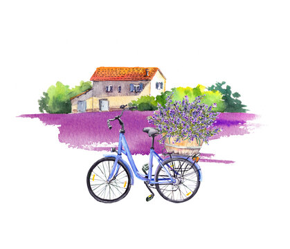 Bicycle with lavender flowers in basket, rustic scene with farm house, violet lavender field. Watercolor