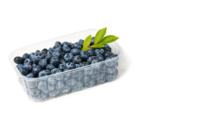 Fresh organic blueberries (Vaccinium corymbosum) in a transparent plastic tray with green leaves isolated on white background with clipping path and copy space