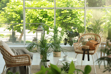 Indoor terrace interior with elegant furniture and houseplants