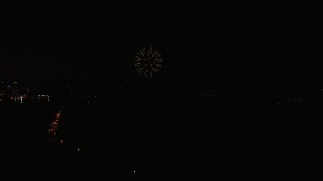 Fireworks Exploding In The Dark Sky at Night During A Celebration. wide aerial